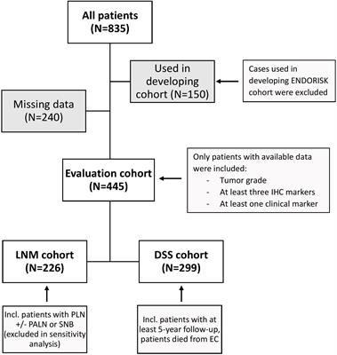 External validation study of endometrial cancer preoperative risk stratification model (ENDORISK)